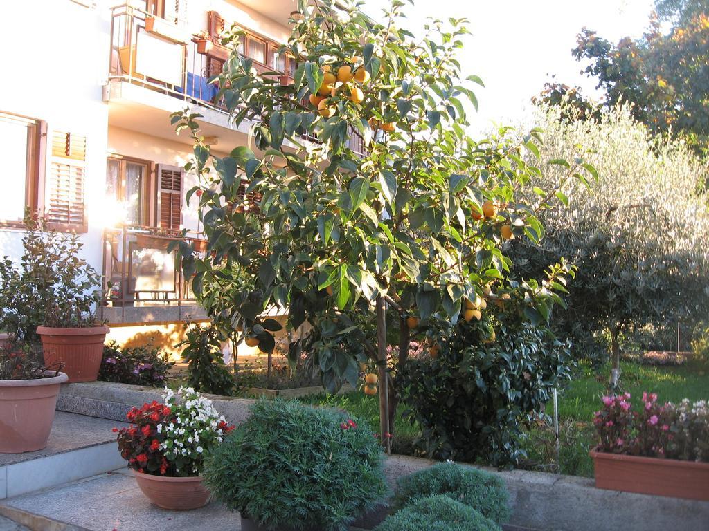 Apartments Adelita 波雷奇 外观 照片